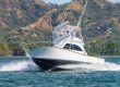 tamarindo fishing charters
