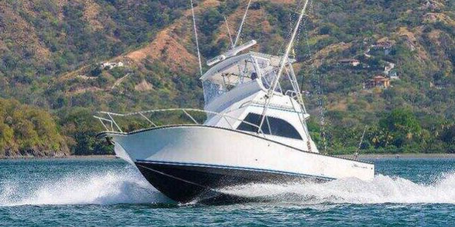 tamarindo fishing charters