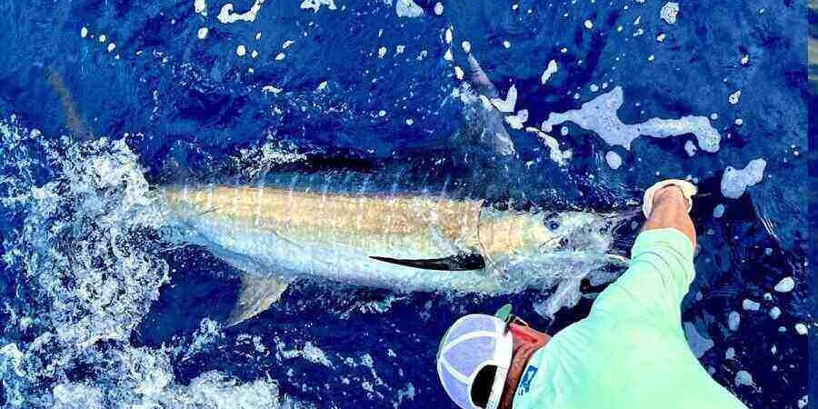 tamarindo fishing charters