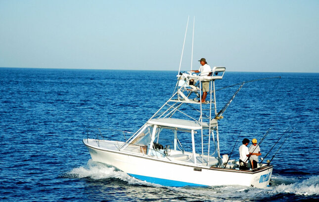 tamarindo fishing charters