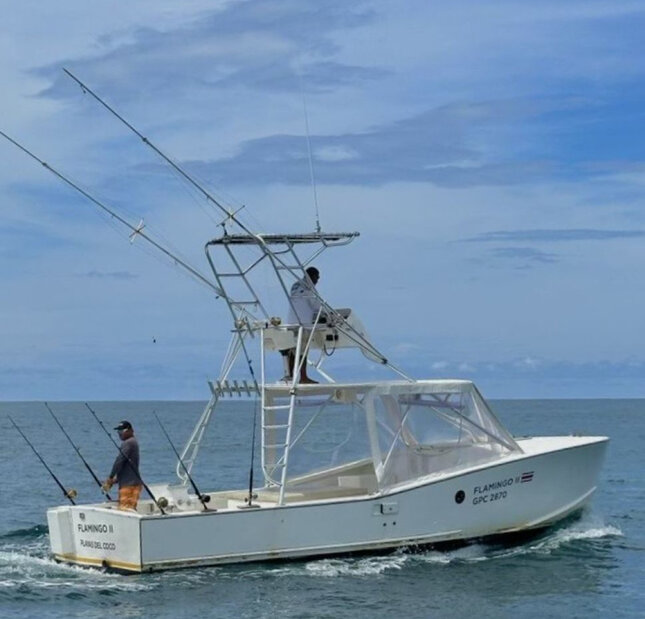 tamarindo fishing charters
