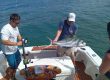 tamarindo fishing charters