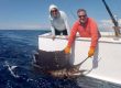 full day offshore fishing charter Tamarindo Costa Rica