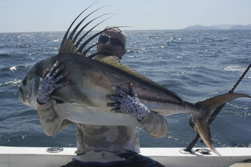 tamarindo inshore fishing charters full day and half day